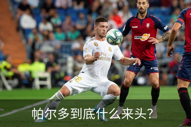 帕尔多到底什么来头？