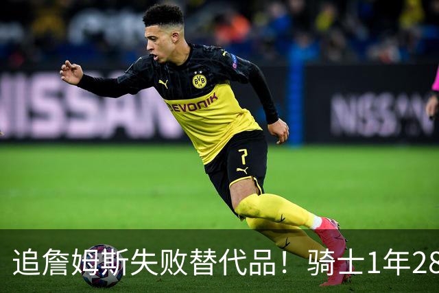 追詹姆斯失败替代品！骑士1年280万签前5号秀海佐尼亚 时隔6年回NBA